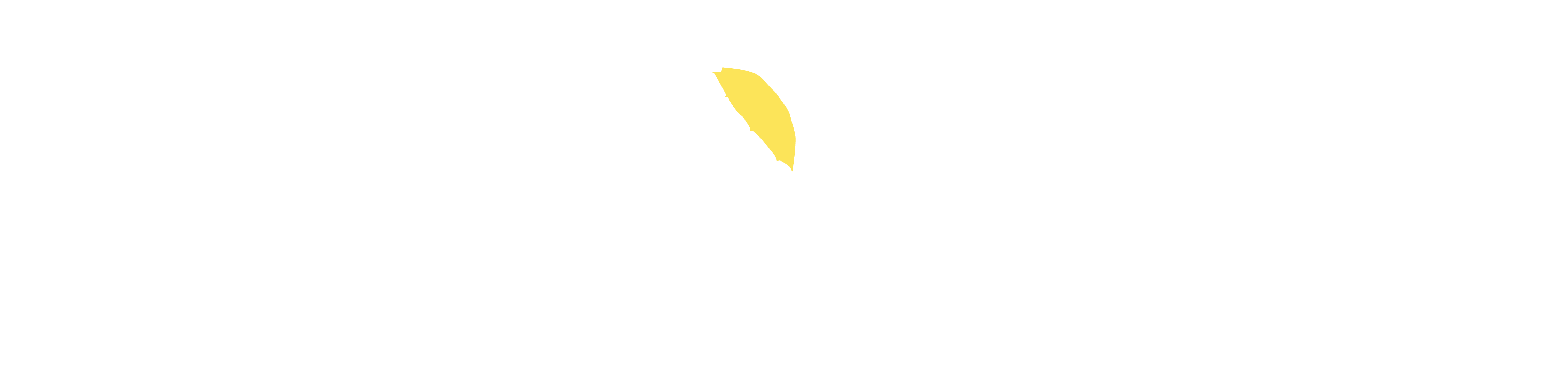 Sashay Shirt Co.
